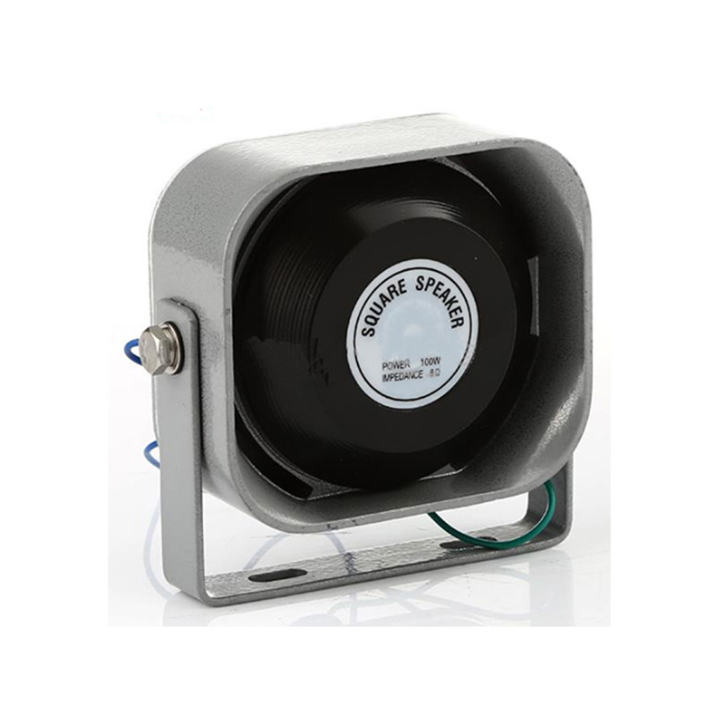 Small Profile 100W 3A 12V Auto Amplifier Høyttaler